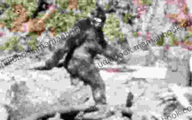 A Grainy Photograph Of A Purported Bigfoot Sighting, Showing A Large, Ape Like Figure In The Forest. Unsolved Conspiracies: The World S Leading Conspiracies