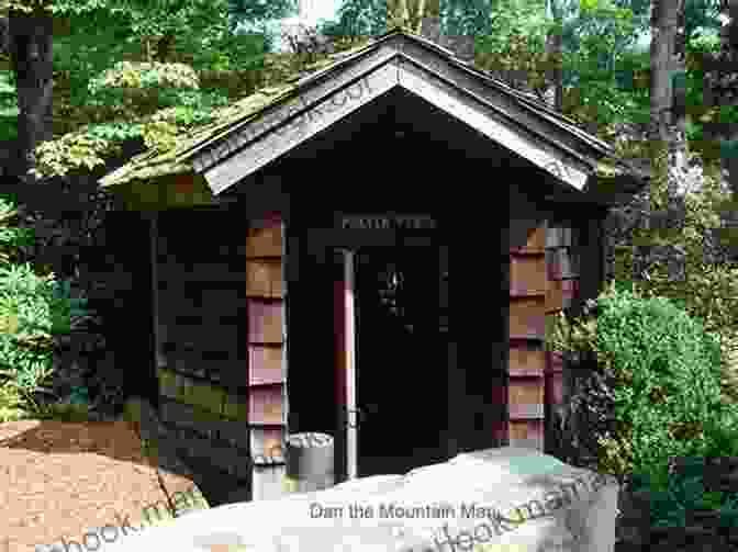 A Photograph Of The Prayer Porch, A Small Wooden Structure Located In The Woods. The Porch Is Surrounded By Trees And Has A Small Bench Inside. Otherworld Underworld Prayer Porch David Bottoms
