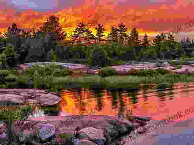 A Vibrant Photograph Of Rockwell Park, Featuring A Colorful Sunset Over The Lake And A Silhouette Of Trees In The Foreground. A Walking Tour Of Bristol Connecticut (Look Up America Series)