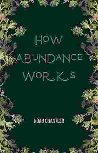How Abundance Works Dan Starr