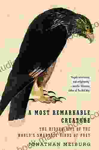 A Most Remarkable Creature: The Hidden Life Of The World S Smartest Birds Of Prey
