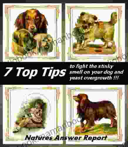 7 Top Tips To Fight The Stinky Smell On Your Dog And Yeast Over Growth 111 (Natures Answer Reports 20)